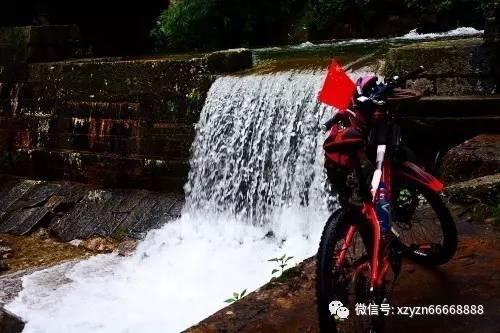 大丛林度假村逃生