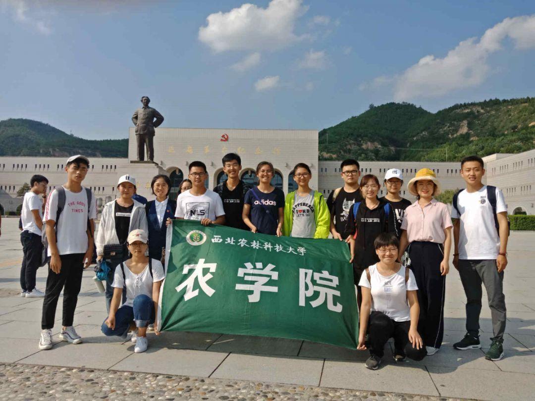 经常主动请示汇报和从不请示汇报，领导更喜欢哪种下属？游戏画面